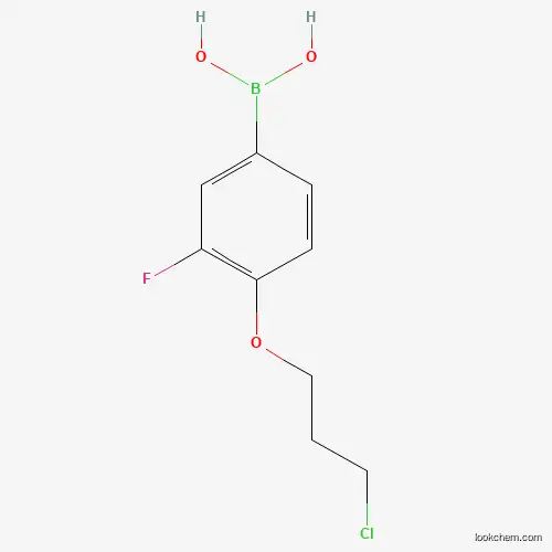 Molecular Structure of 1704074-40-7 ((4-(3-Chloropropoxy)-3-fluorophenyl)boronic acid)