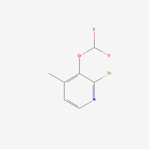 Click to see the large picture