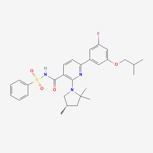 Click to see the large picture