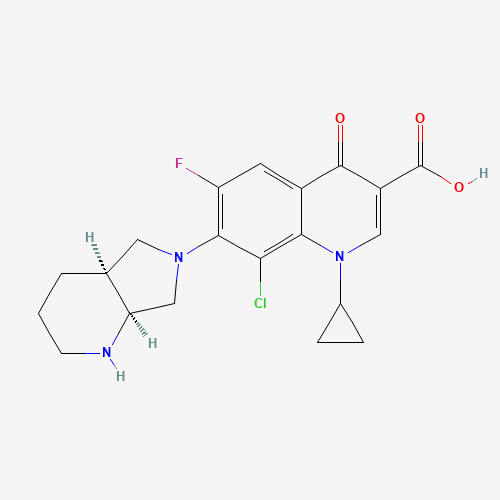 Click to see the large picture