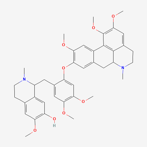 Click to see the large picture