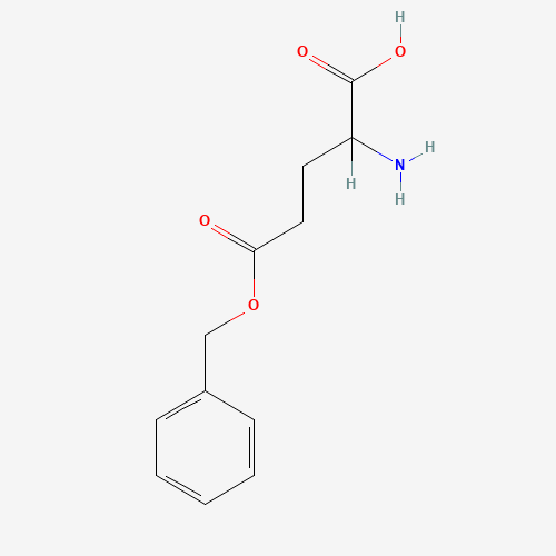 Click to see the large picture