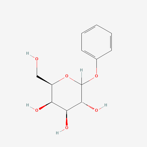 Click to see the large picture