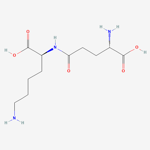 Click to see the large picture