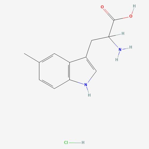 Click to see the large picture