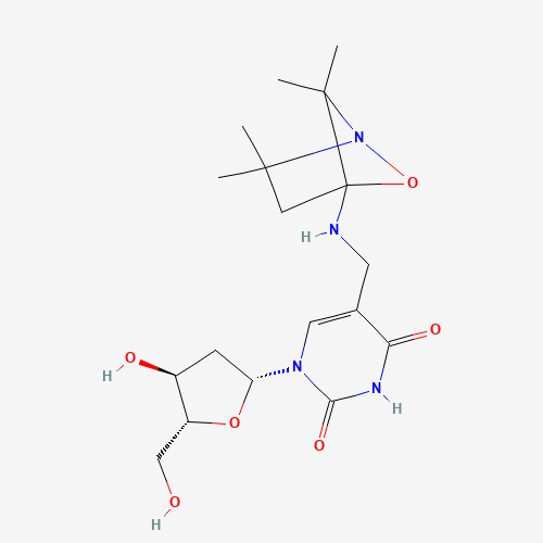 Click to see the large picture