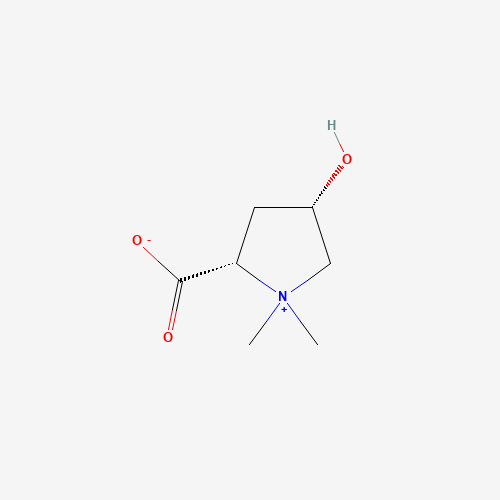Molecular Structure of 174851-67-3 (L-Turicine)