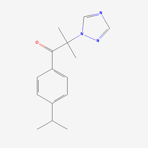 Click to see the large picture