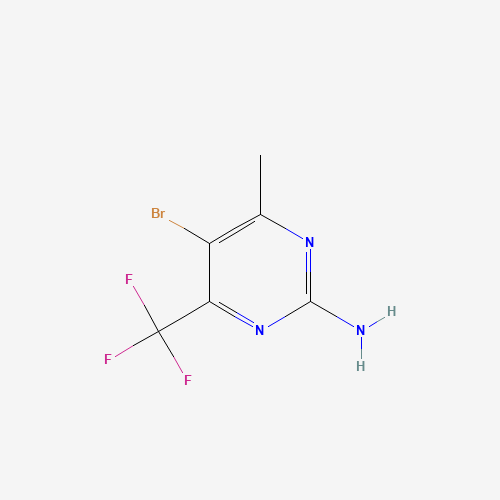 Click to see the large picture