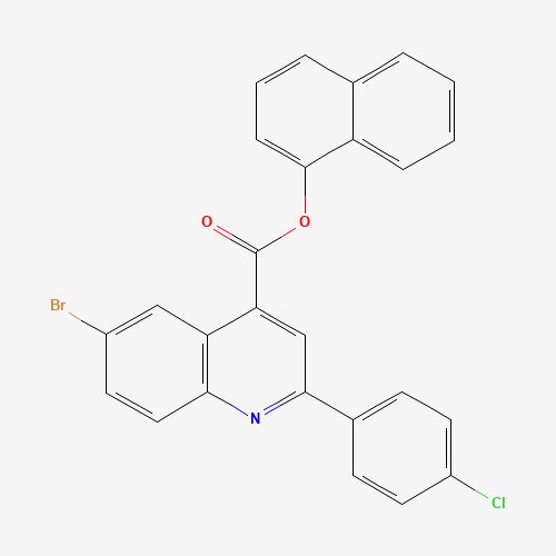 Click to see the large picture