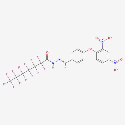 Click to see the large picture