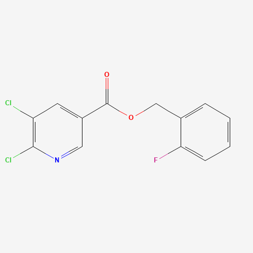 Click to see the large picture