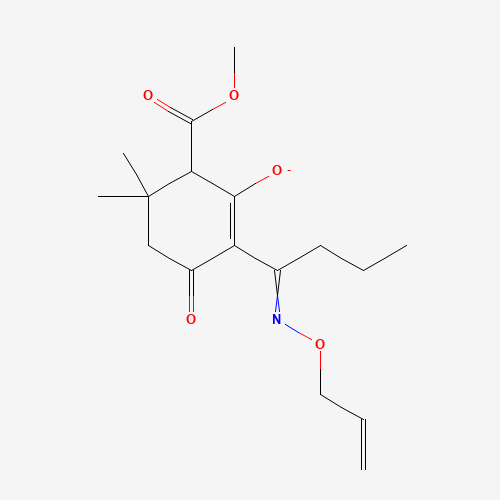 Click to see the large picture