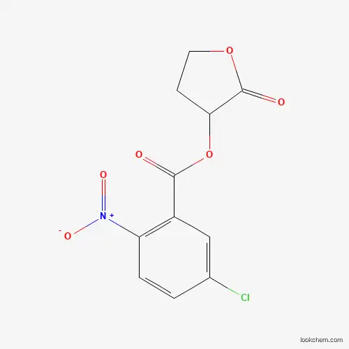Molecular Structure of 455320-54-4 ((2-Oxooxolan-3-yl) 5-chloro-2-nitrobenzoate)