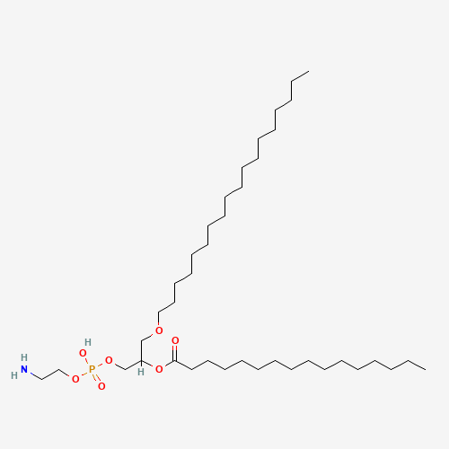 Click to see the large picture