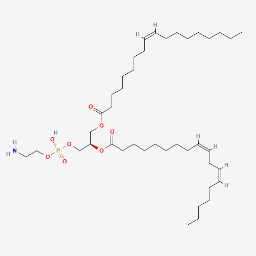 Click to see the large picture