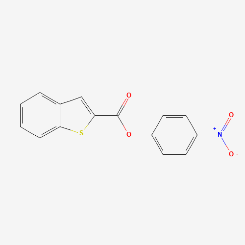 Click to see the large picture