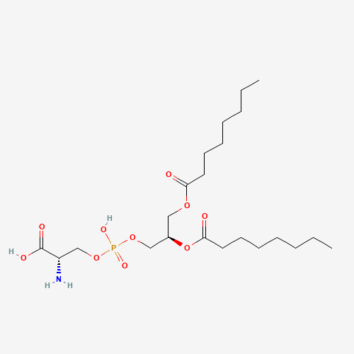 Click to see the large picture