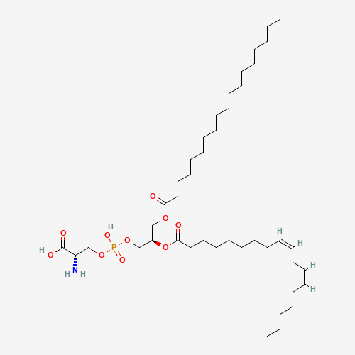 Click to see the large picture