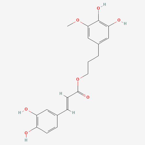 Click to see the large picture