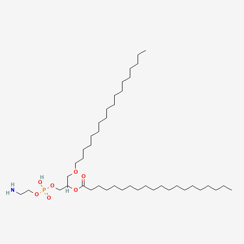 Click to see the large picture