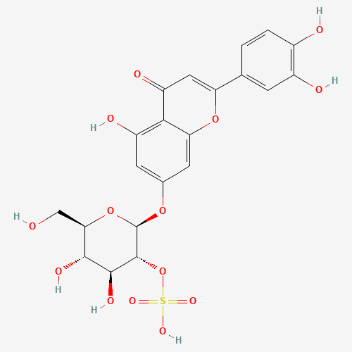 Click to see the large picture