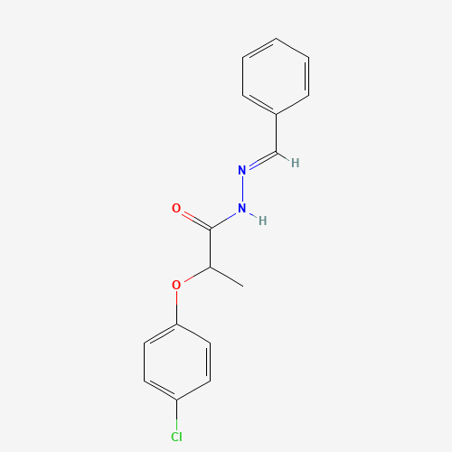 Click to see the large picture