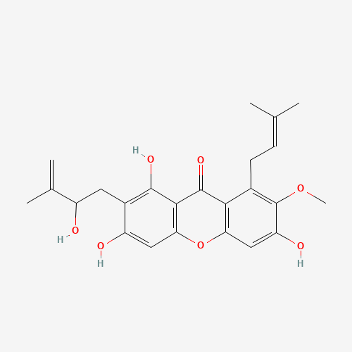 Click to see the large picture