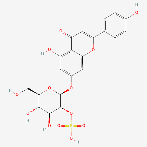 Click to see the large picture