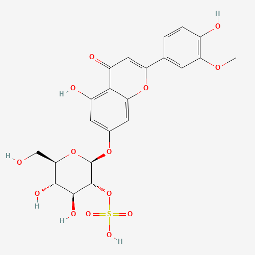 Click to see the large picture