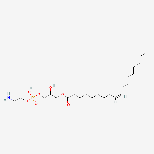 Click to see the large picture