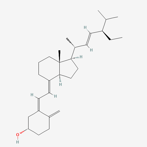 Click to see the large picture