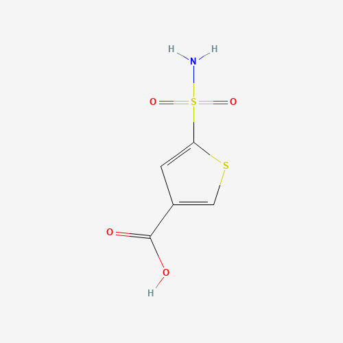 Click to see the large picture