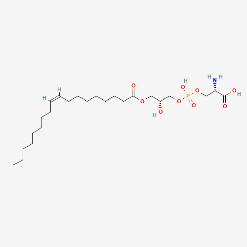 Click to see the large picture