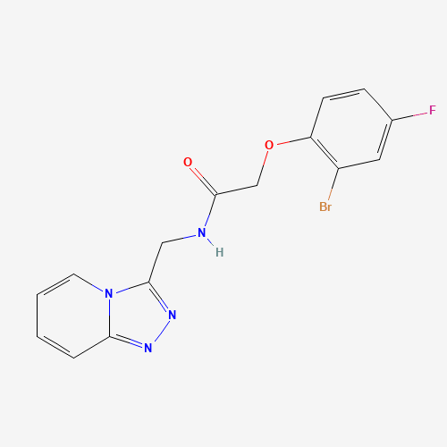 Click to see the large picture