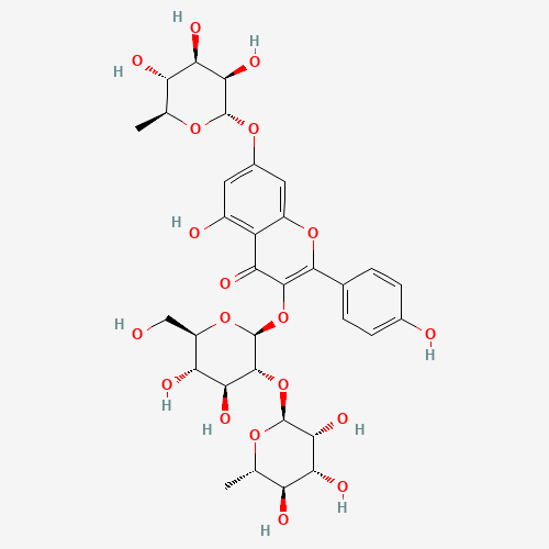 Click to see the large picture