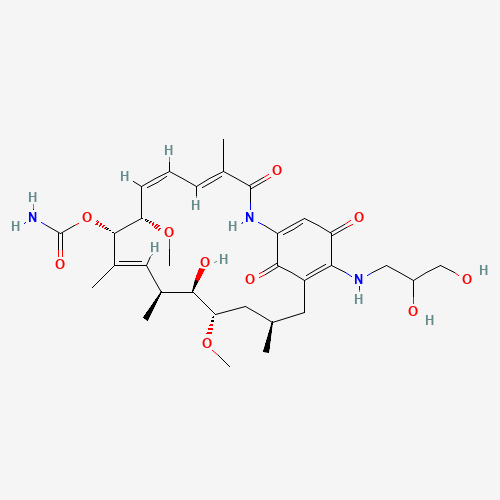 Click to see the large picture