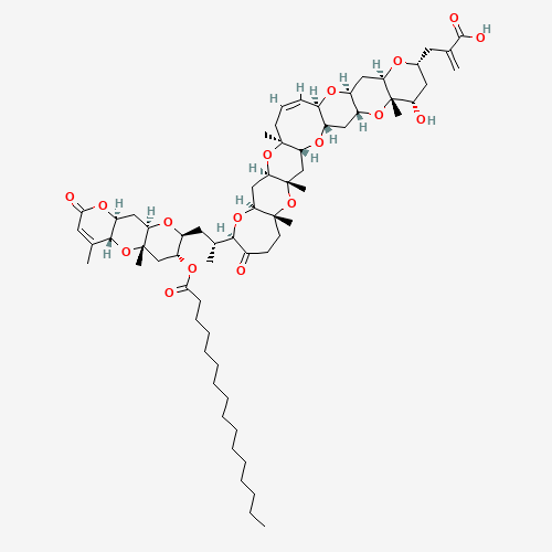 Click to see the large picture