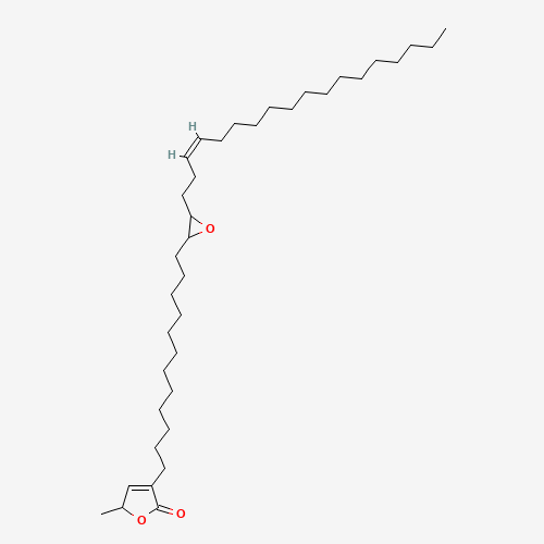 Click to see the large picture