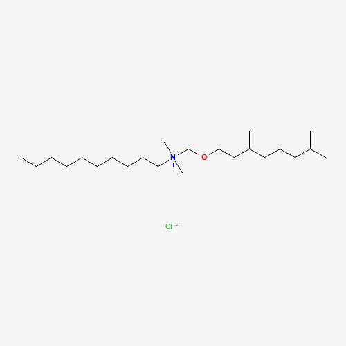 Click to see the large picture