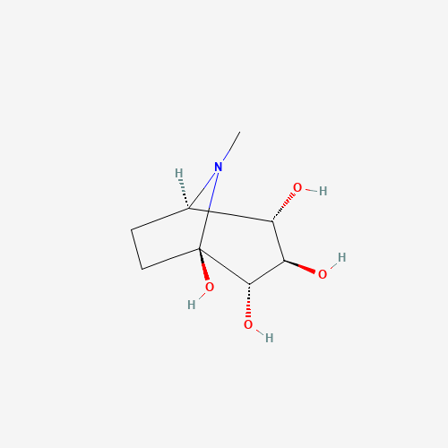 Click to see the large picture