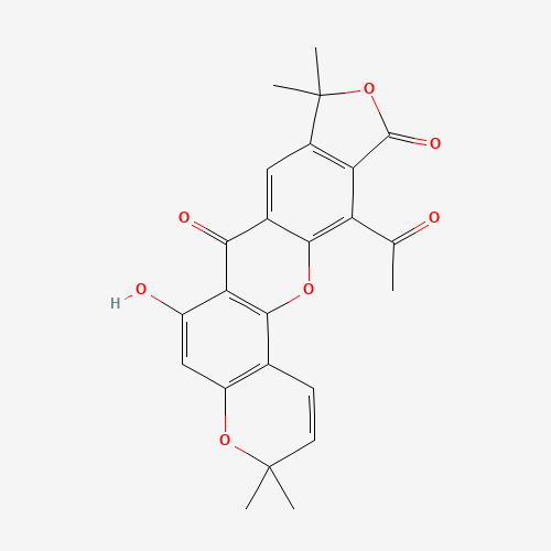 Click to see the large picture