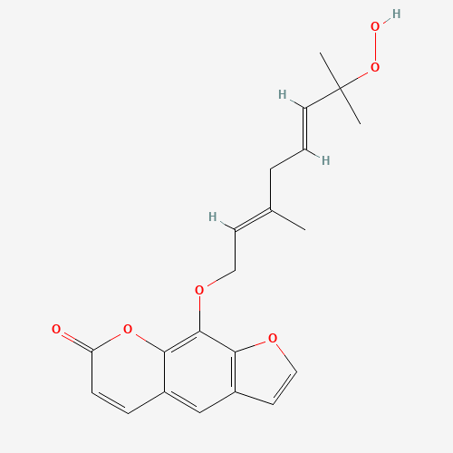 Click to see the large picture