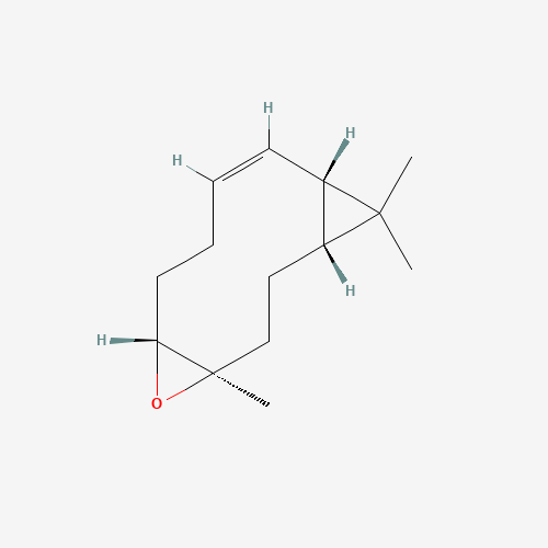 Click to see the large picture