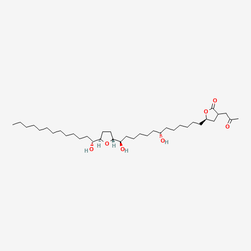 Click to see the large picture