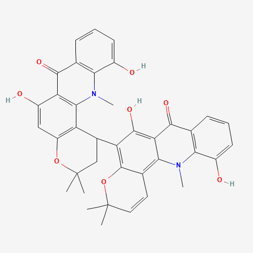 Click to see the large picture