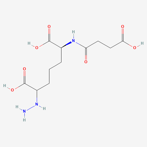 Click to see the large picture