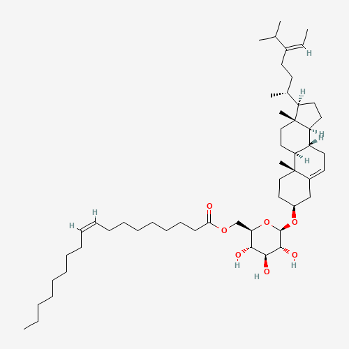 Click to see the large picture