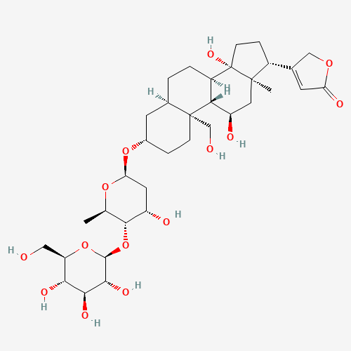 Click to see the large picture