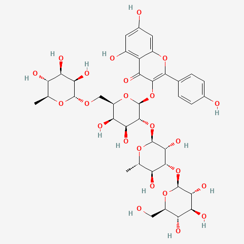 Click to see the large picture